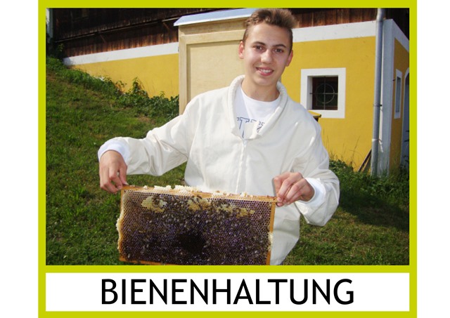 Bienenwirtschaft