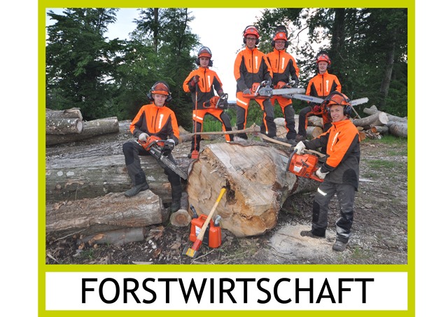 Forstwirtschaft