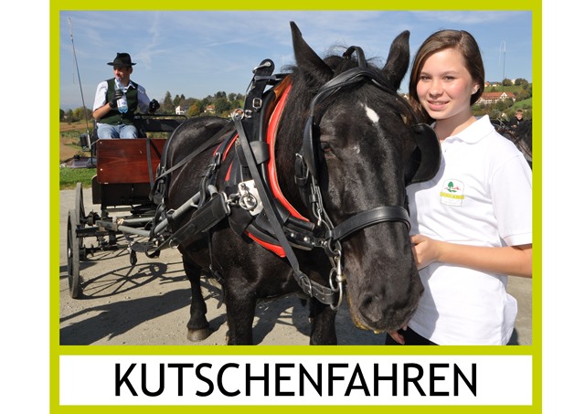 Kutschenfahren