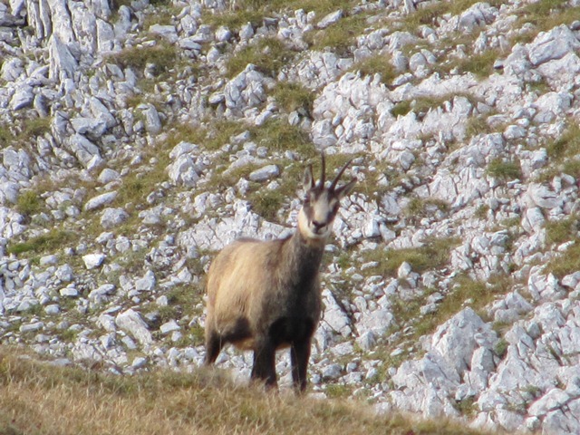 Hochschwab 2016