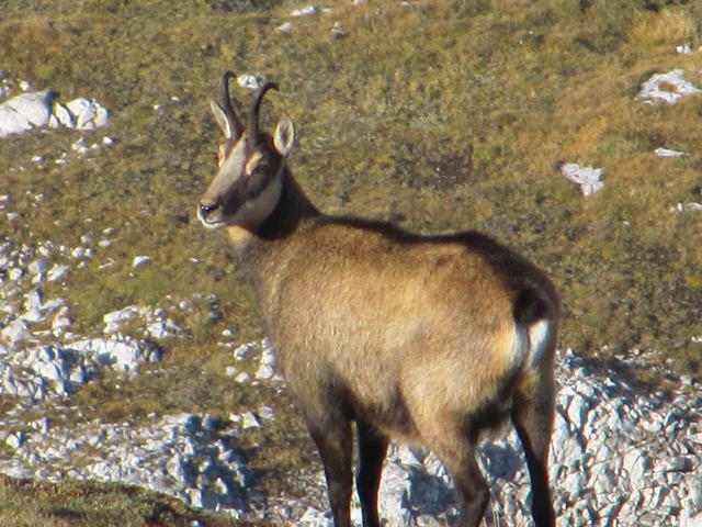 Hochschwab 2016