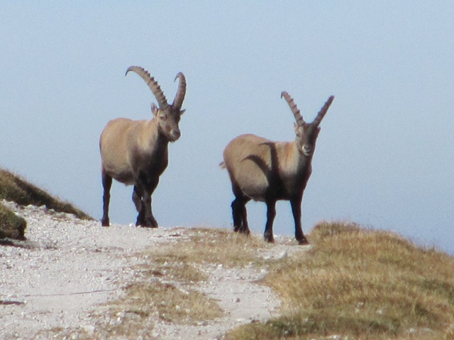 Hochschwab 2016