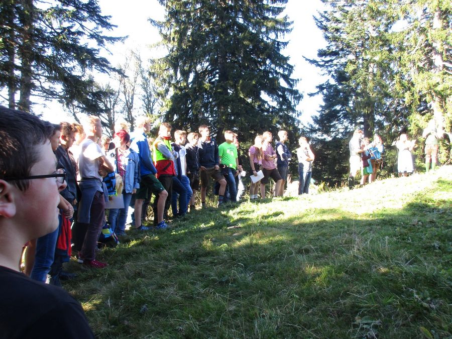 Almabtrieb Herbst 16