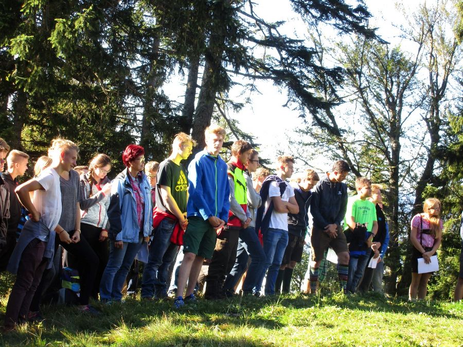 Almabtrieb Herbst 16