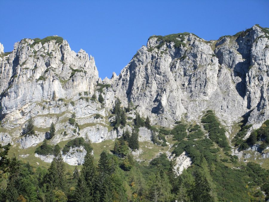 Almabtrieb Herbst 16