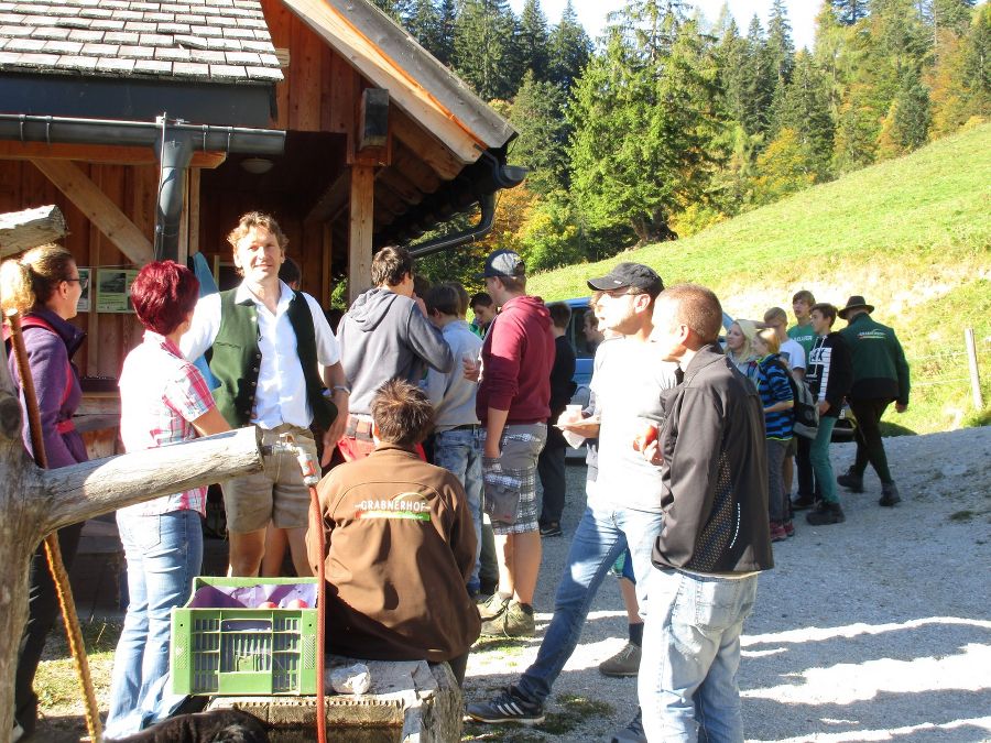 Almabtrieb Herbst 16