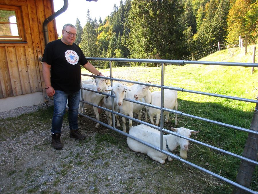 Almabtrieb Herbst 16