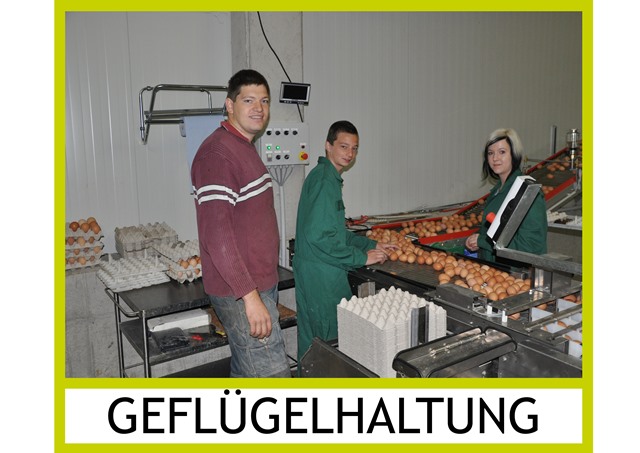 Geflügelhaltung