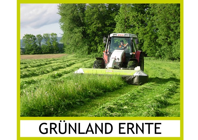 Grünlandernte