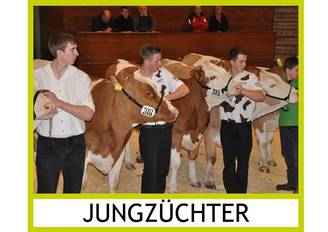 Jungzüchter