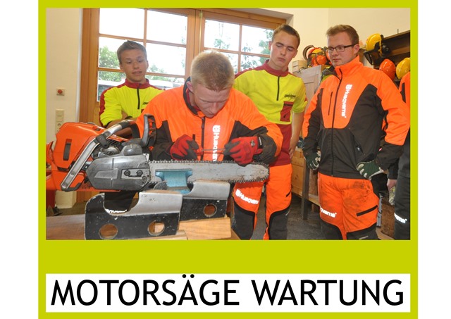 Motorsägenwartung