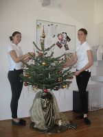 Christbaum 2. Klasse