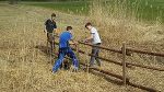 Schweine © LFS Grabnerhof