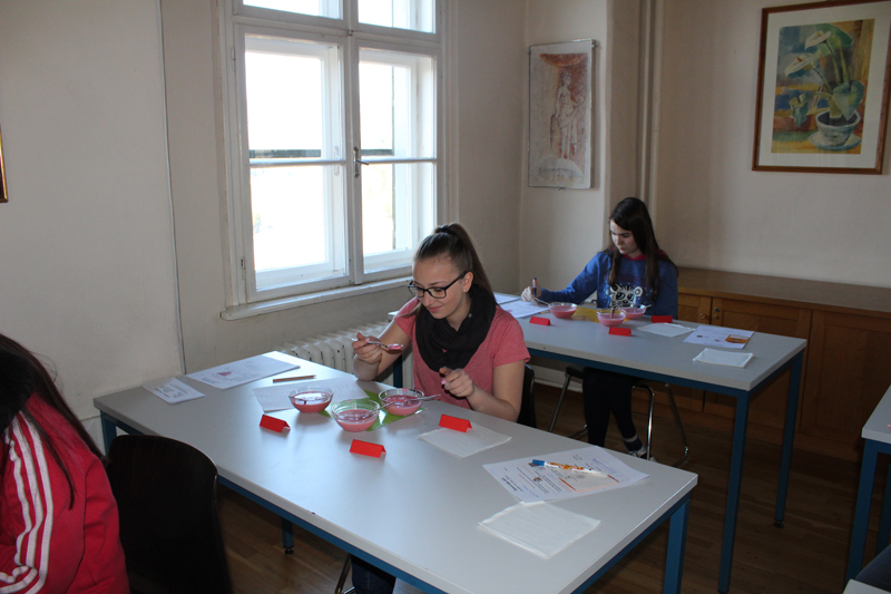 Sensorik Sensorik