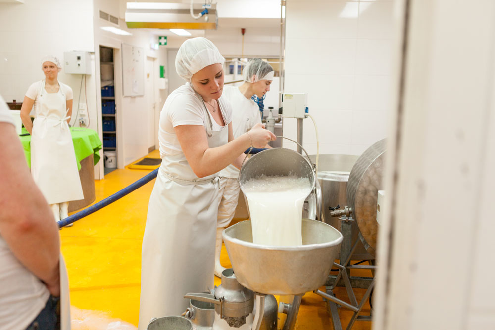 Milchverarbeitung