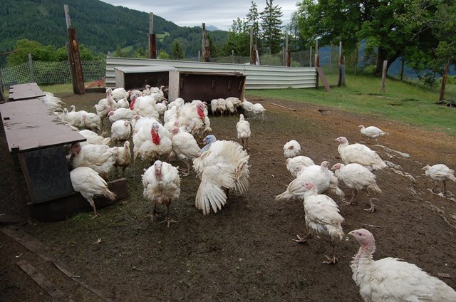 Betriebsbesichtung GOLLAHOF