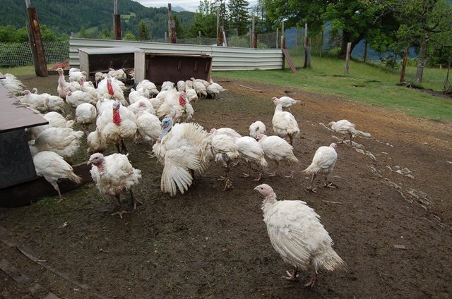 Betriebsbesichtung GOLLAHOF