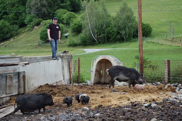 Betriebsbesichtung GOLLAHOF