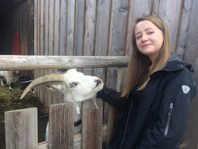 Exkursion 1. Klassen Exkursion 1. Klassen