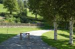 Baumschnitt am 18.07.2017 © FS Feistritz