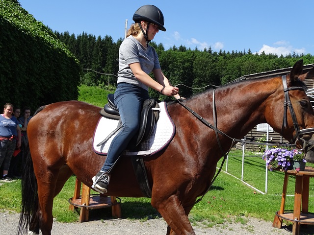 Reiten