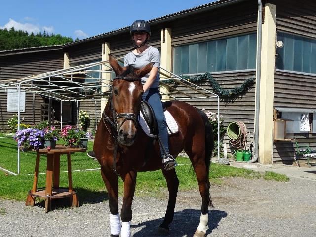 Reiten