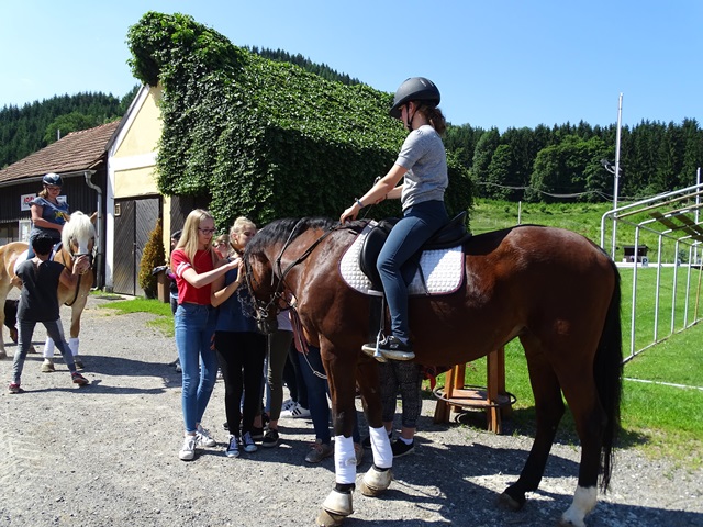 Reiten