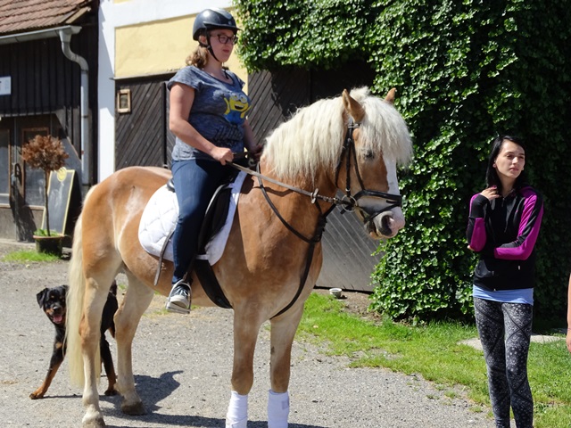 Reiten