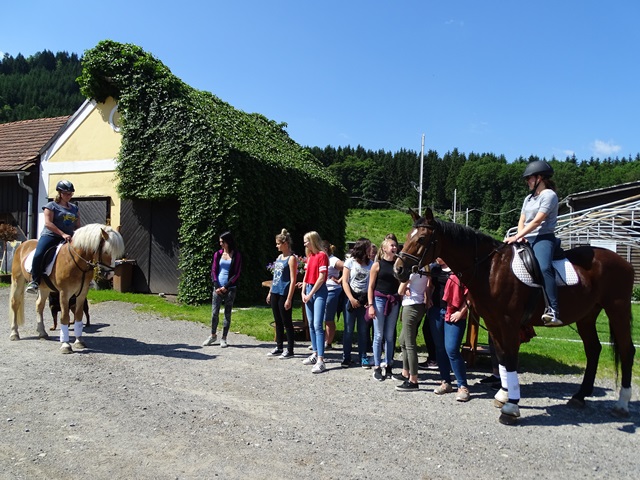 Reiten