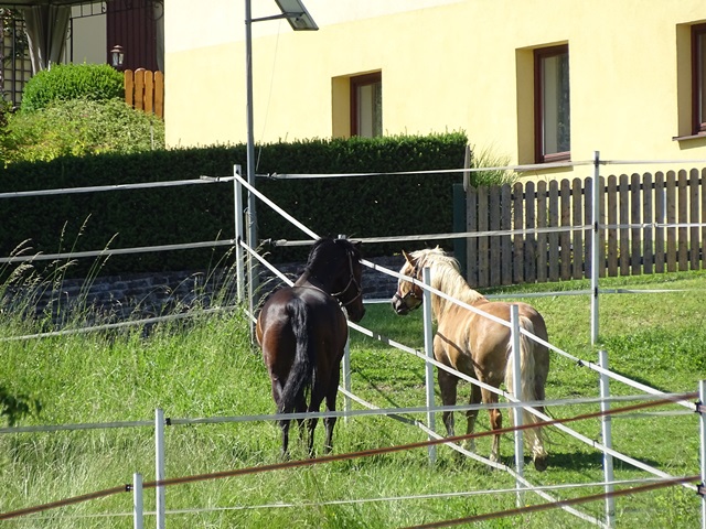 Reiten