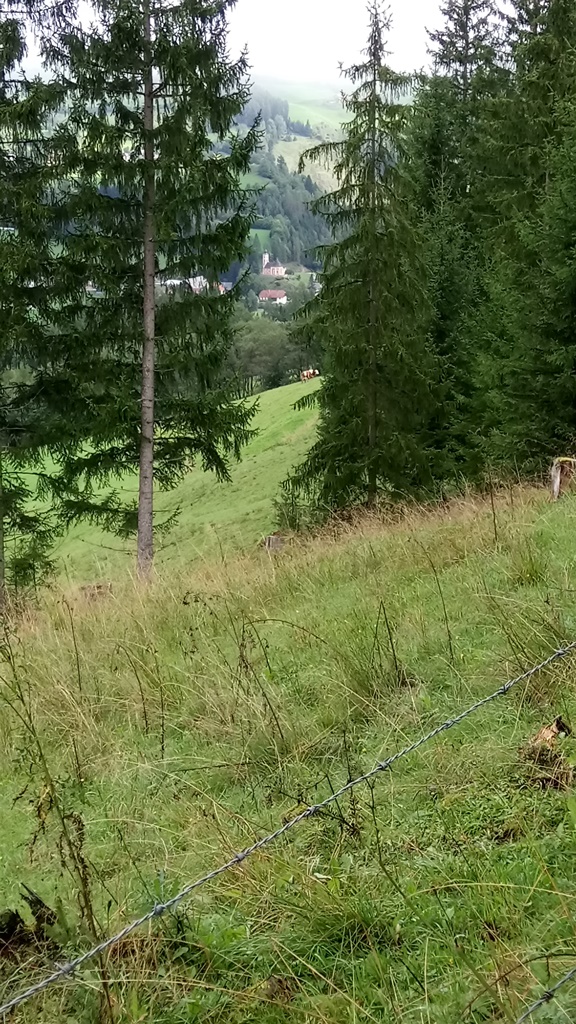 Wandertag der 1. Klasse