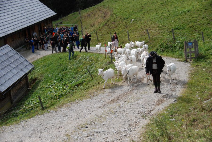 Wandertag 2017