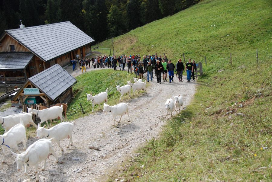 Wandertag 2017