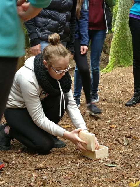 Waldpädagogiktag