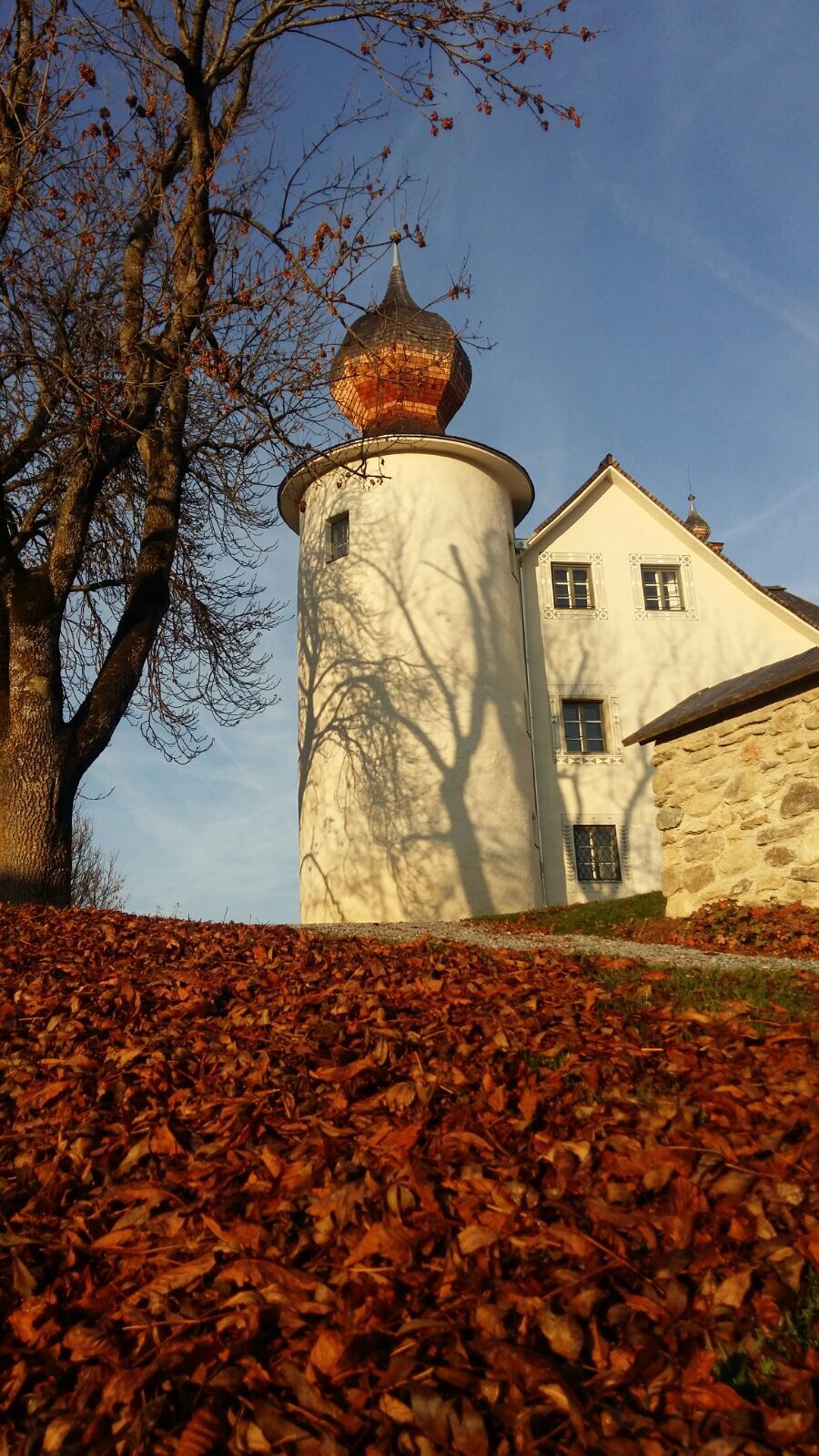 Alphalauf in Feistritz