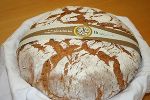 FS Halbenrain © FS Halbenrain FS Halbenrain