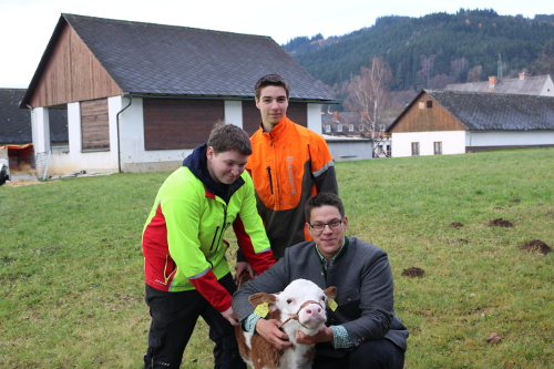 Erste Aktivitäten beim Führen von Tieren