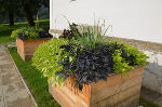 Hochbeet © FS Grottenhof Hochbeet