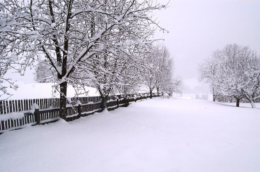 Spaß im Schnee :-)