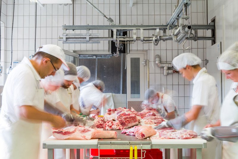 Praktischer Unterricht Fleischverarbeitung
