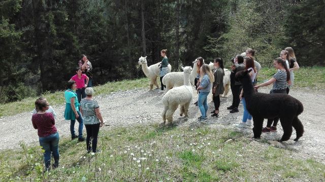 greencare Betriebe_Sozialexkursion der 2. Klasse