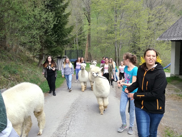 greencare Betriebe_Sozialexkursion der 2. Klasse