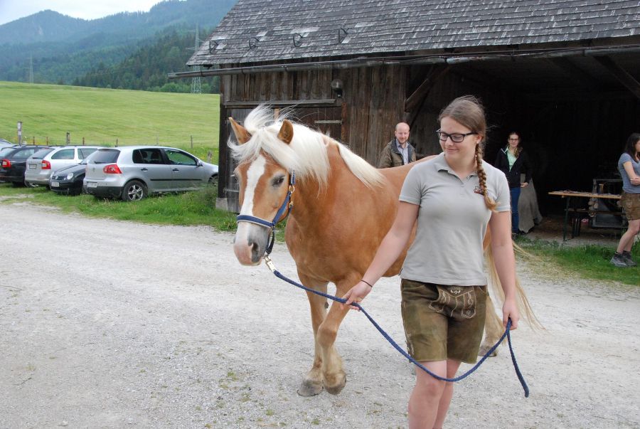 Waldpädak2018