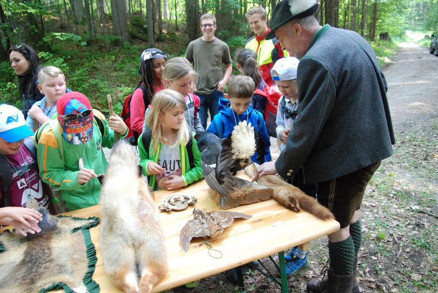 Waldpädak2018