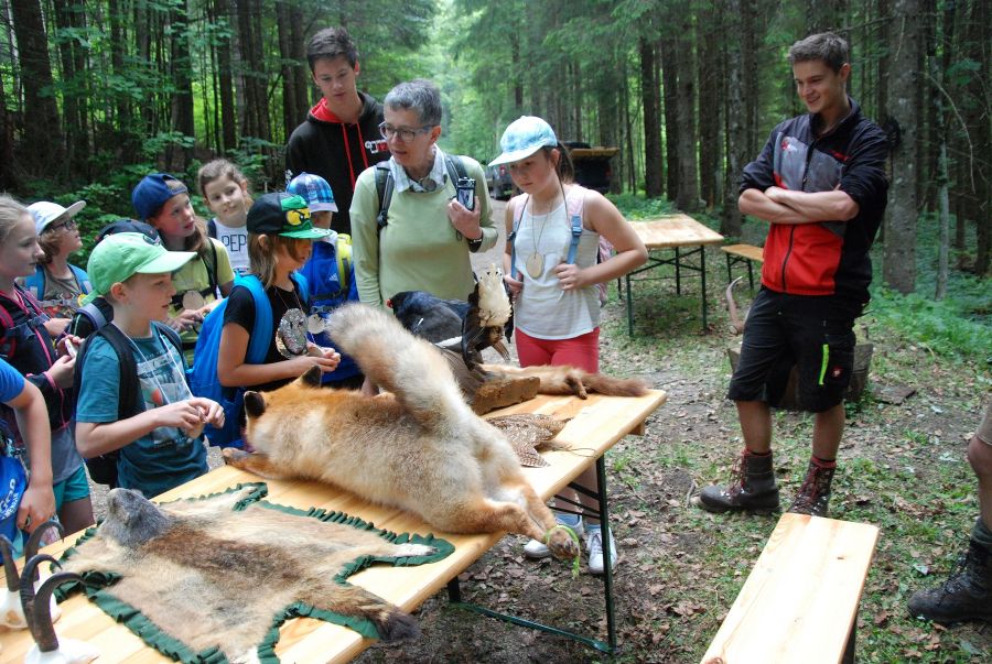 Waldpädak2018