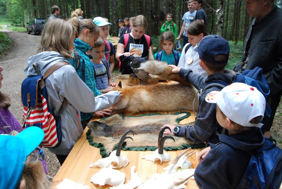 Waldpädak2018