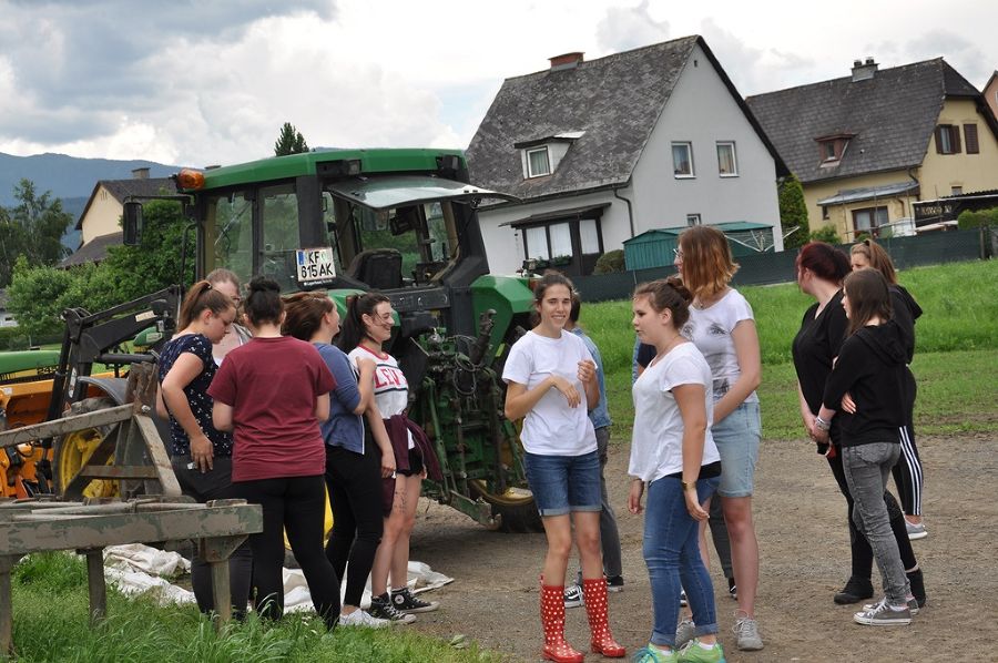 Milchwirtschaft Milchwirtschaft