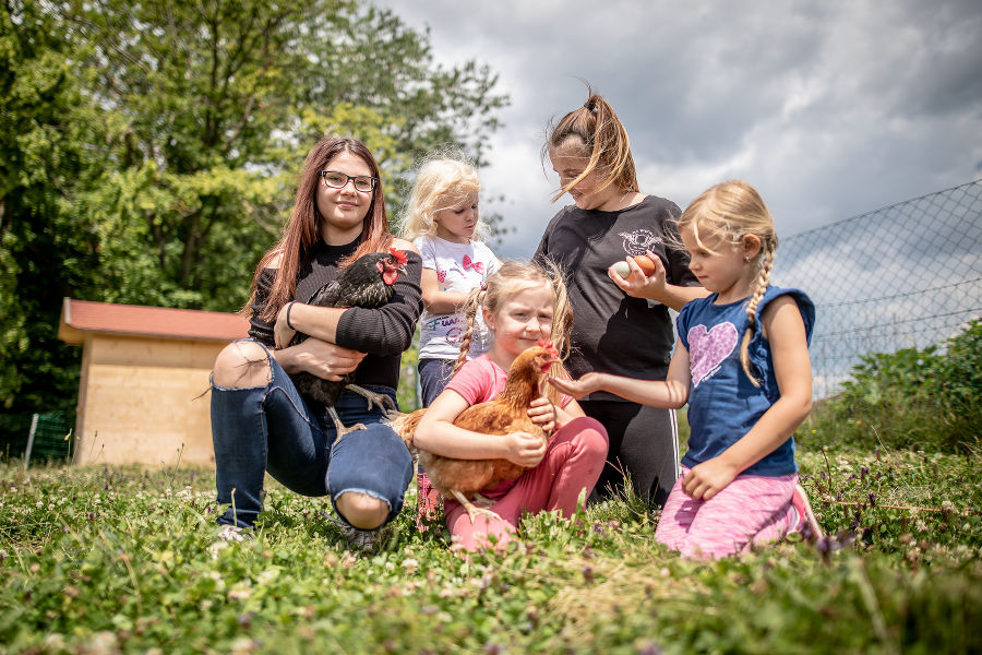 Beim Hühnerstall Beim Hühnerstall
