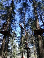 Wandertag der 1. und 2. Klasse zum Hochseilgarten nach Oberwölz © FS Feistritz