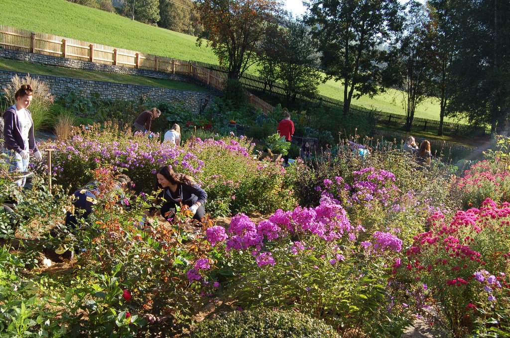 46+ 3 Sat Samstag Natur Im Garten 2018 1 10, Karl ploberger